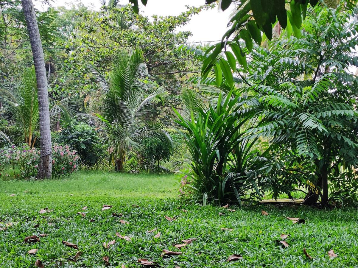 Schatzi'S Hideaway Tangalle Exterior foto